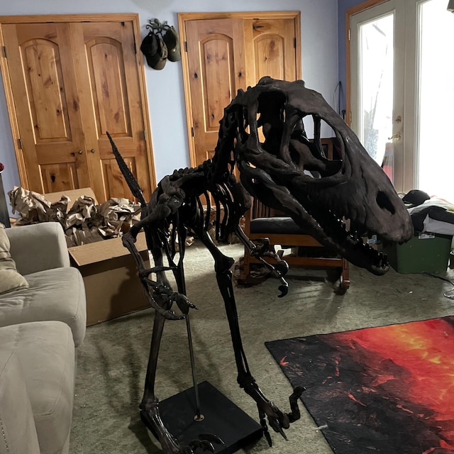 Life Sized Deinonychus Skeleton - Etsy