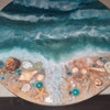 12 Mexican Flat Scallop Shells Seashells Large 3 Crafts Coastal Beach ...