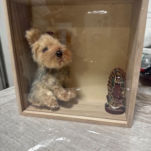 Gabriela added a photo of their purchase