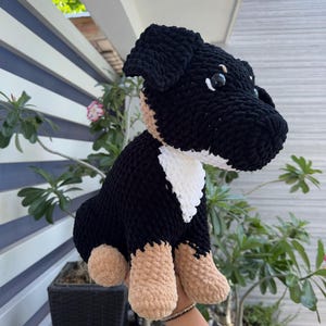 Galilea added a photo of their purchase