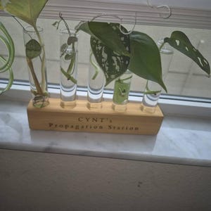 Cynthia added a photo of their purchase