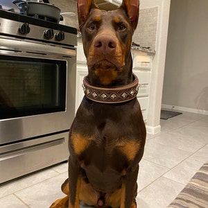Anabel added a photo of their purchase