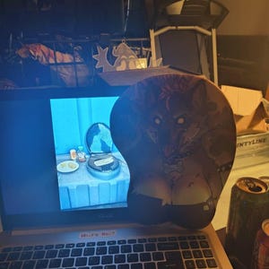 Gobie added a photo of their purchase