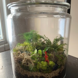 Sue added a photo of their purchase