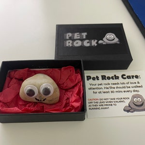 Pet Rock ® Funny Novelty Gift Ideas Ideal for Birthday Presents