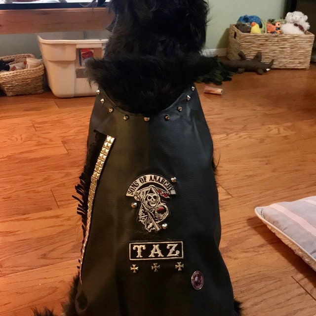 Sons of anarchy dog best sale vest