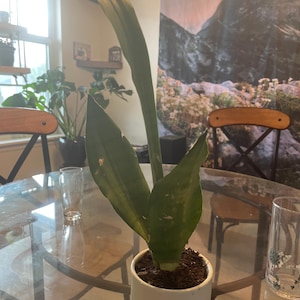 Jet added a photo of their purchase