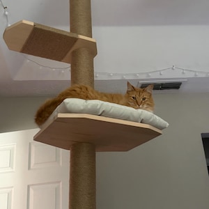rufus added a photo of their purchase