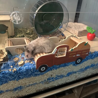 View of Candy Color Pet's Bowl Hamster Ceramics Hideout Cute Hamster Playhouse ...