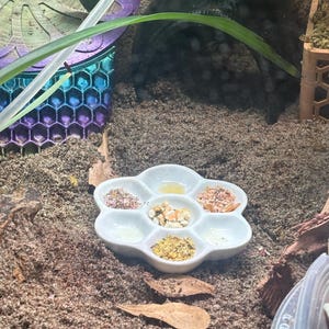 Alison added a photo of their purchase