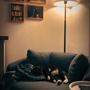 Katie added a photo of their purchase