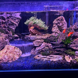 Stacey added a photo of their purchase