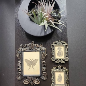 Jacquie added a photo of their purchase