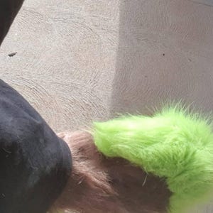 Michael ha añadido una foto de su compra