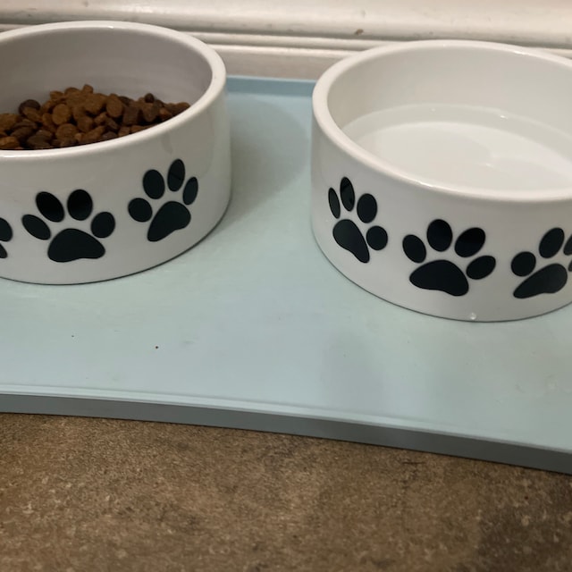 Handcrafted Dog Bowl Set, Gray Stoneware with Paw Print