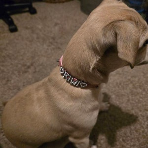 Ashlin added a photo of their purchase
