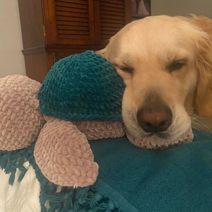 Lauren ha aggiunto una foto del proprio acquisto