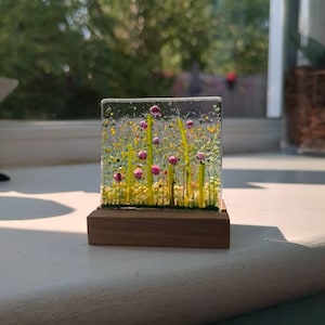 Nikie added a photo of their purchase