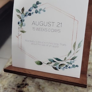 SweetPea added a photo of their purchase