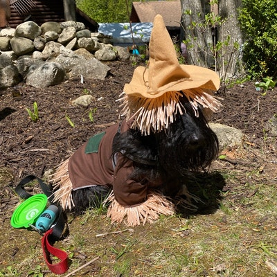 Scarecrow Dog Costume, Wizard of Oz Inspired. Scarecrow Dog Outfit ...