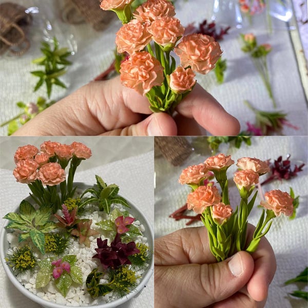 5 Miniature Poinsettia Bunch of Flower,miniature Red Color Flower ...