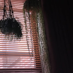 Pamela added a photo of their purchase