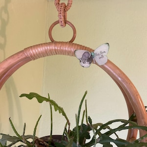 Jane added a photo of their purchase