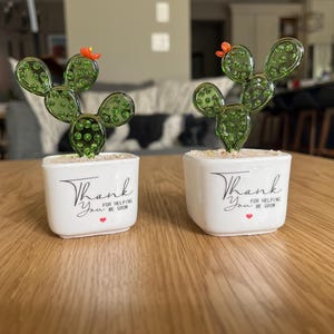 Ashley added a photo of their purchase