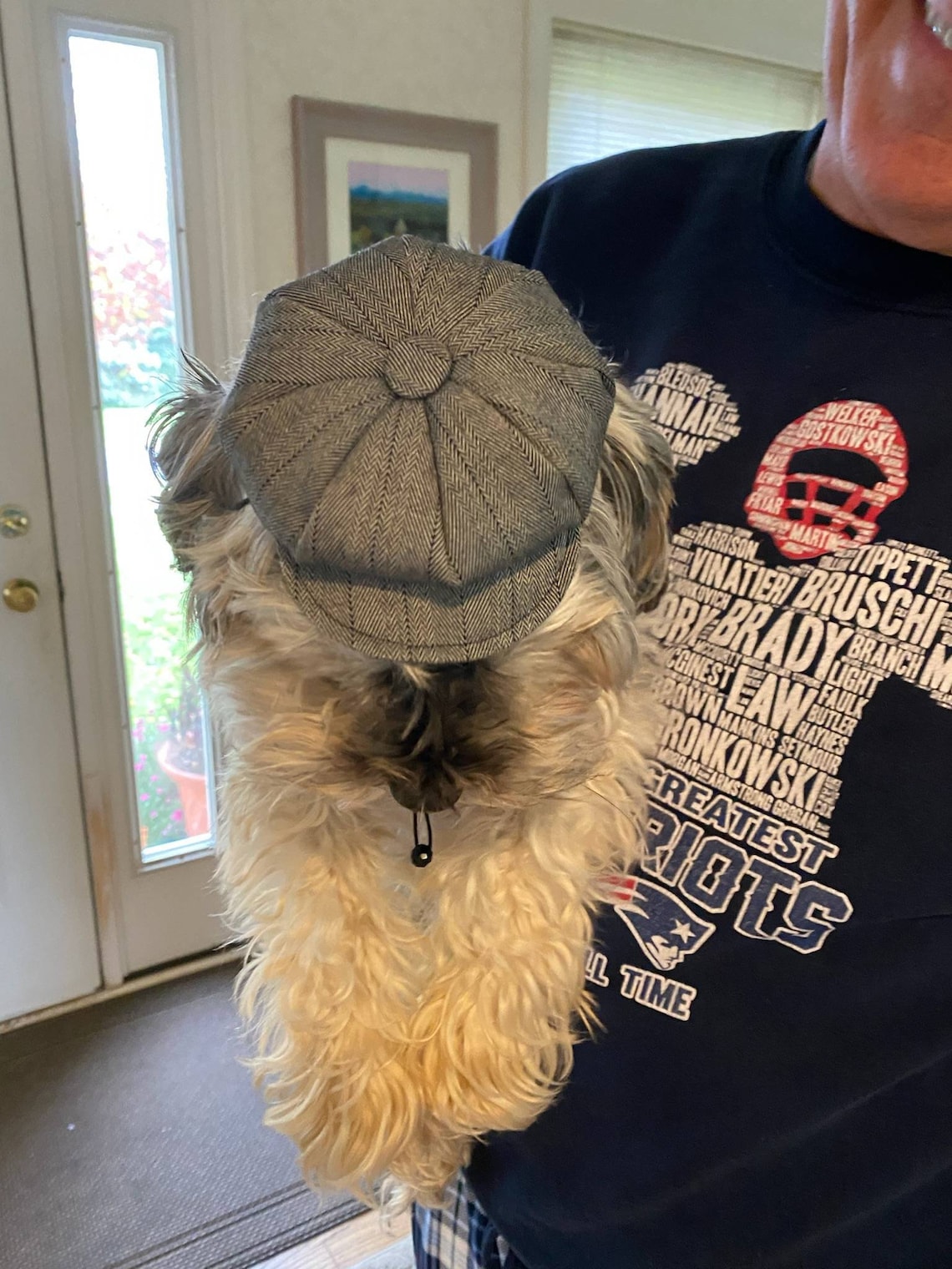 Customer photo of a pet with the Newspaper Boy Hat  for small pet Hedgehog Vogue