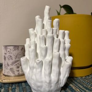Brooke’s customer photo of Coral Vase V1