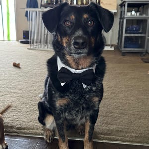 Amanda dodał(a) zdjęcie swoich zakupów