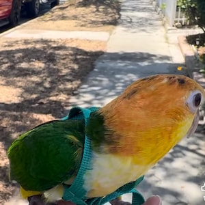 Frances added a photo of their purchase