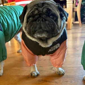 Carolyn added a photo of their purchase