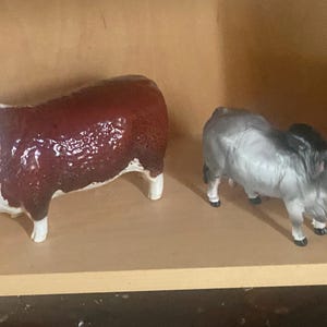 Keith added a photo of their purchase