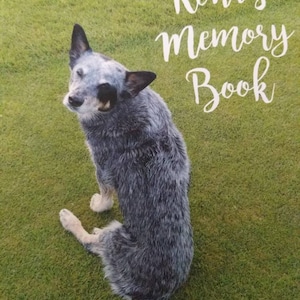 Sheryl added a photo of their purchase