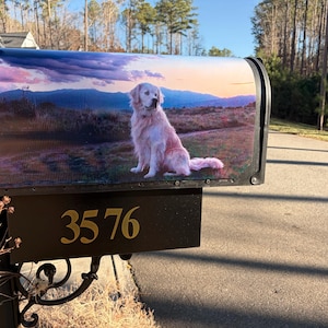 Linda added a photo of their purchase