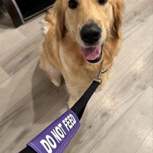 Amanda heeft een foto van de aankoop toegevoegd