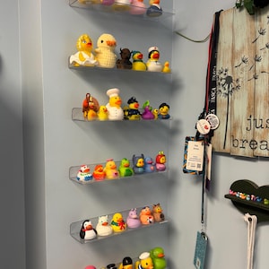 Sandra added a photo of their purchase