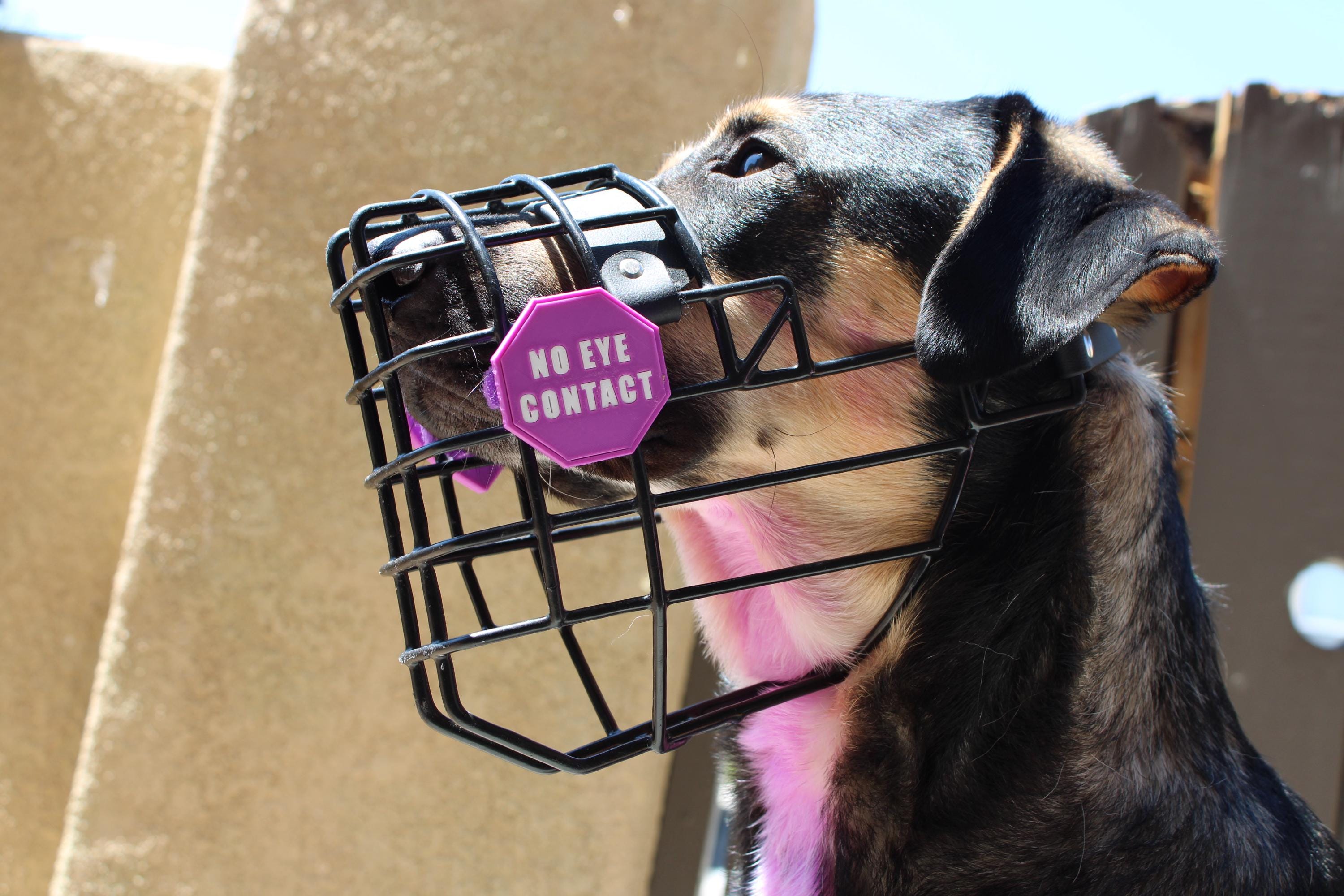 Muzzy Sign Charms | Muzzle Accessory | Muzzle Gear | Reactive Dog Gear