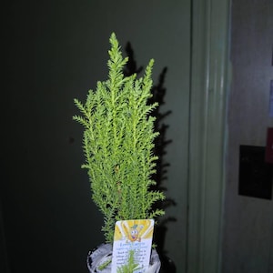 Mark added a photo of their purchase