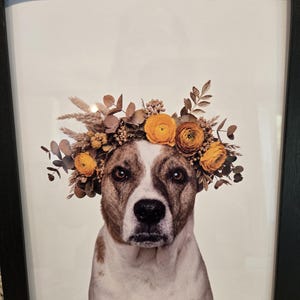 Janna ha añadido una foto de su compra