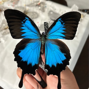Jennyypennyy ha añadido una foto de su compra