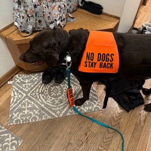Lindsey added a photo of their purchase