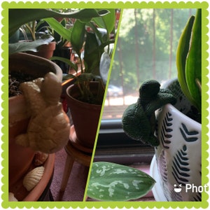 Delores added a photo of their purchase
