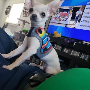Erin ha añadido una foto de su compra
