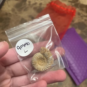Zoey a ajouté une photo de son achat