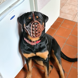 Davy ha añadido una foto de su compra