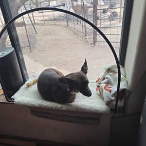Jill added a photo of their purchase