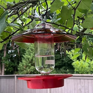 Wendy added a photo of their purchase