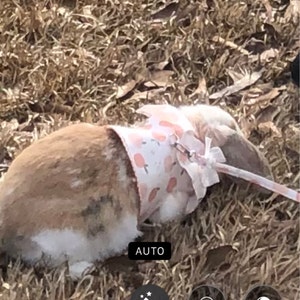 Allison さんが購入した商品の写真を追加しました